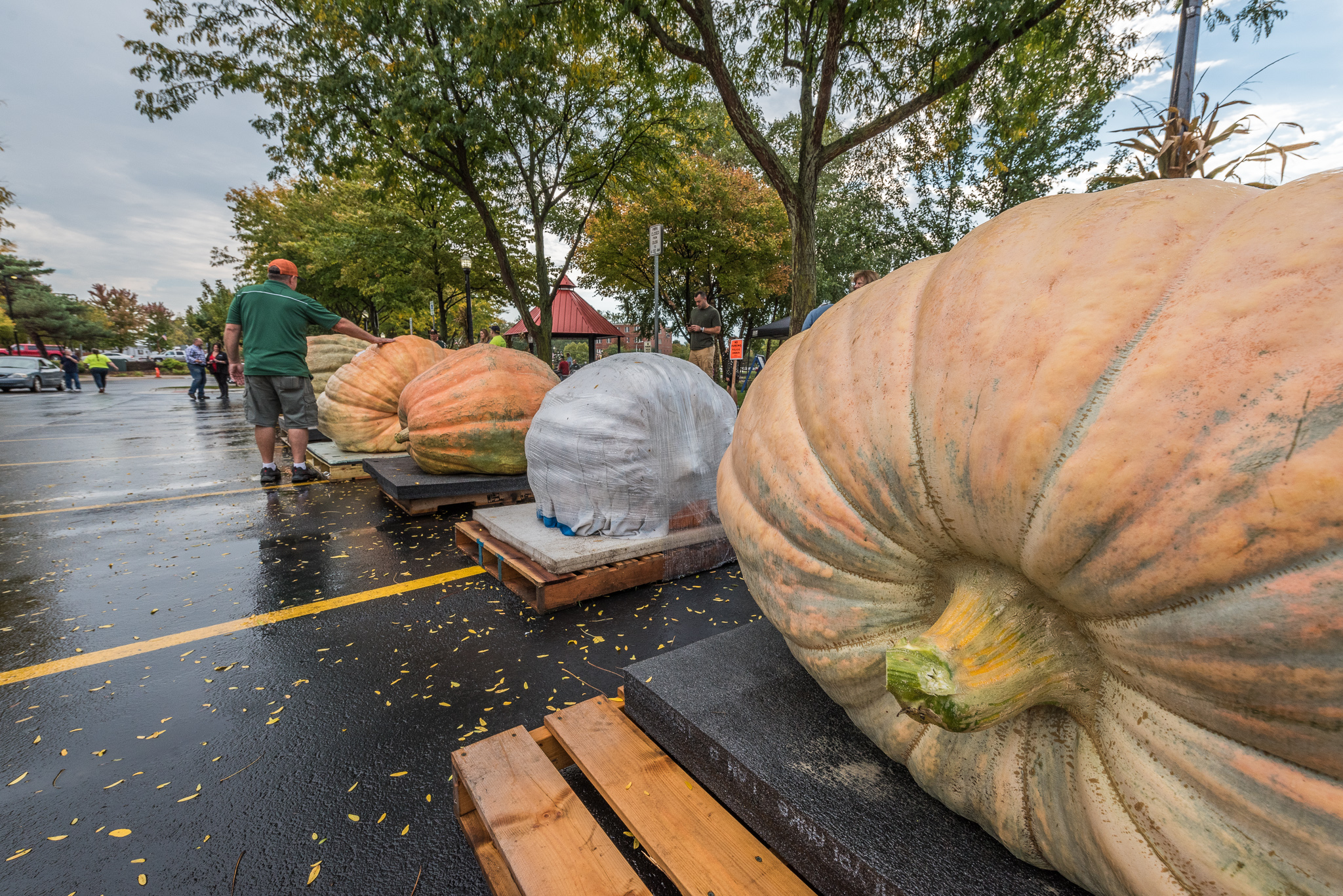 Photo's Dundee's Pumpkin Palooza