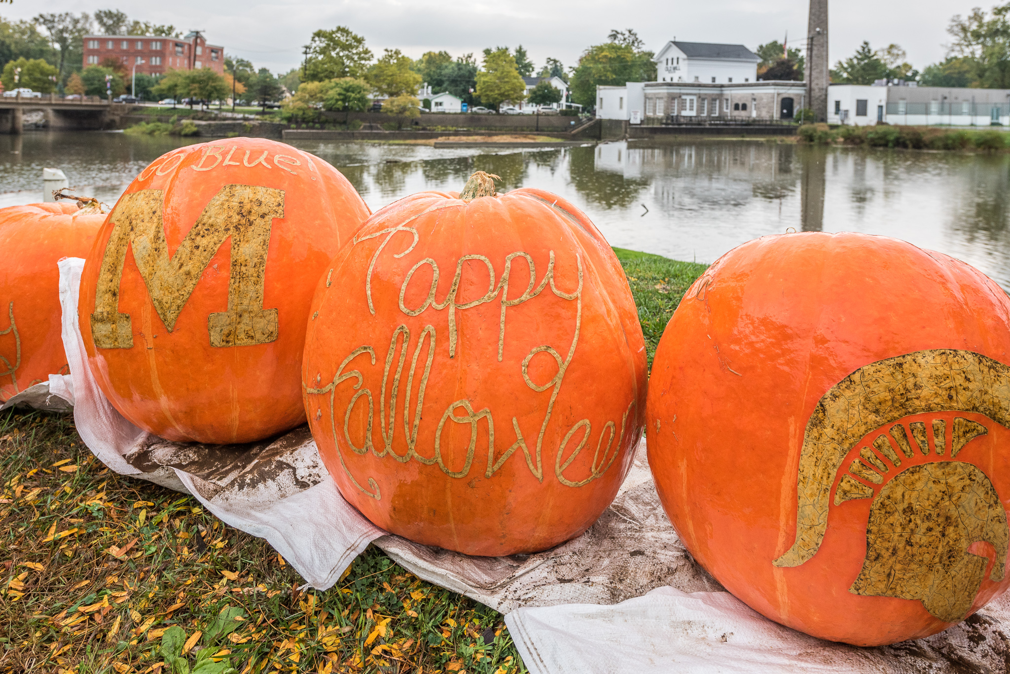 Photo's Dundee's Pumpkin Palooza